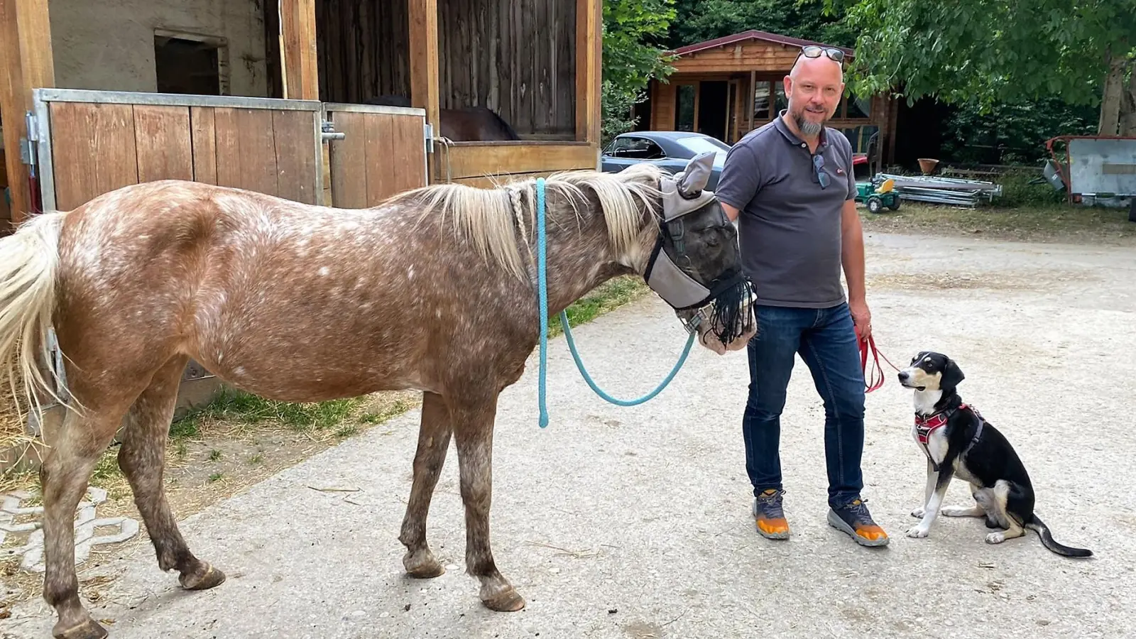 Das Training mit Benedikt Scheppan findet auch mal bei den Pferden statt. Hier übt Junghund Sammy, in der Nähe des Familienponys ruhig und gelassen zu bleiben.  (Foto: privat)