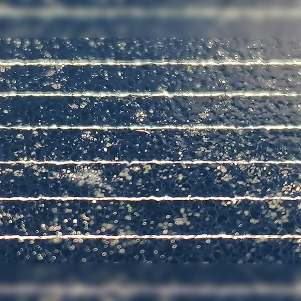 Ein Solarmodul. Bereits seit Mitte 2022 gelten höhere Vergütungssätze für Strom aus Anlagen, die seitdem in Betrieb genommen wurden. (Foto: Johannes Beetz)