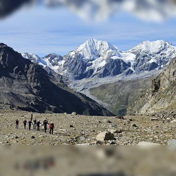 Die Dachauer Wandergruppe beim Aufstieg zur Vertainspitze mit der Königspitze und dem Monte Zebru im Hintergrund. (Foto: DAV)
