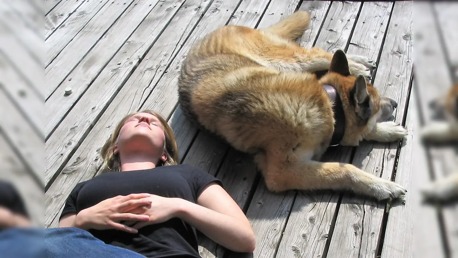 Gemeinsames Sonnenbad. In den heißen Mittags- und Nachmittagsstunden sollten sich Hund und Mensch in den Schatten zurückziehen. (Foto: dek)