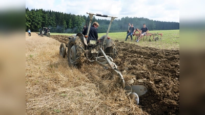 Ein besonderes Highlight: Präsentation des Pflugs beim Ackern. (Foto: red)