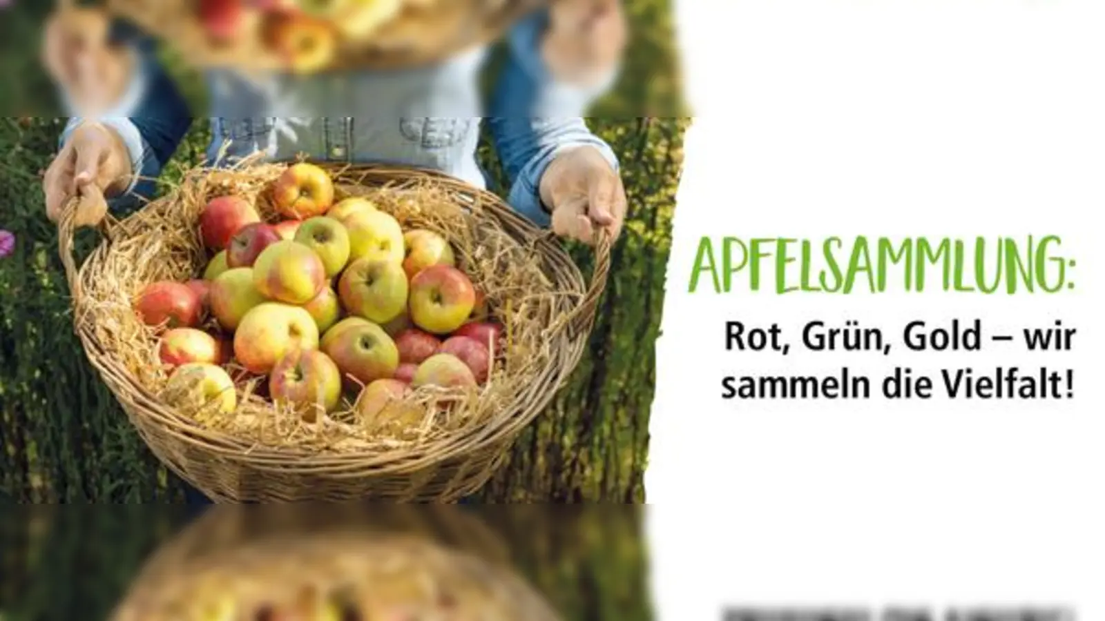 Letzter Apfel-Abgabetermin ist der 22. Oktober. (Foto: Netzwerk UNSER LAND)