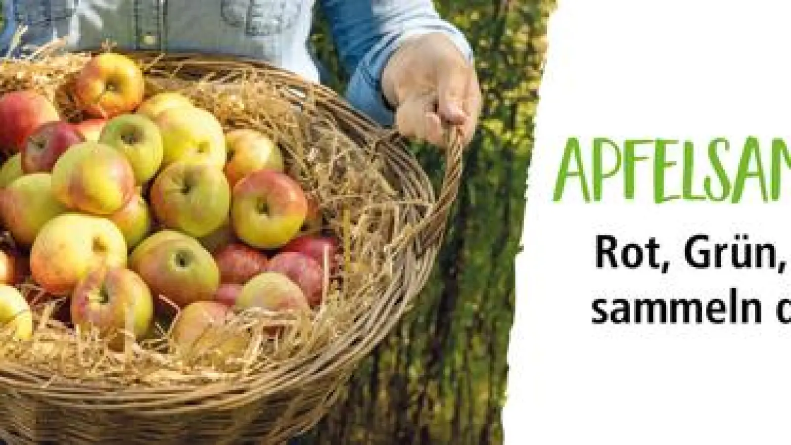 Letzter Apfel-Abgabetermin ist der 22. Oktober. (Foto: Netzwerk UNSER LAND)