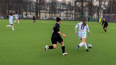 Klare Sache: Löwinnen gegen Sterne. (Foto: Alfons Seeler)