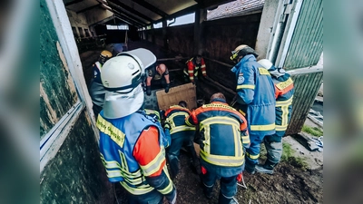 Beide Tiere konnten gerettet werden. (Foto: KBI Dachau)