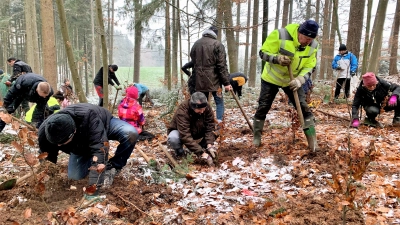 Mit großem Engagement wurden die Baumsetzlinge in den Waldboden eingebracht. Rechts (in Sicherheitsjacke) Bankvorstand Thomas Höbel. (Foto: VR Bank)
