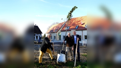 Karin Frank, Vorsitzende des Gartenbauvereins G-W-E, Werner Gruber, Vorsitzender des Kreisverbands Dachau und 1. Bürgermeister Christian Blatt (von li) bei der Bepflanzung. (Foto: Gemeinde Erdweg)