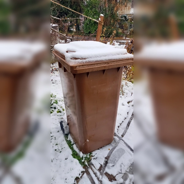 Feuchter Biomüll kann im Winter in der Tonne festfrieren. (Foto: Kommunale Abfallwirtschaft)
