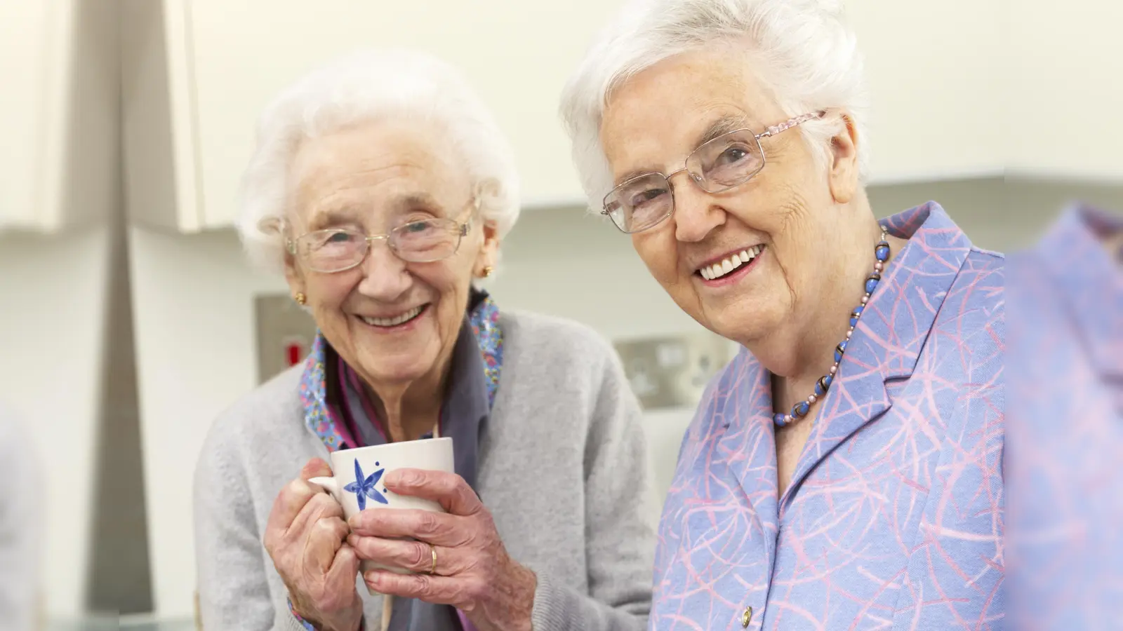 Senior women preparing meal together (Foto: Monkey Business Images/Model Colourbox.com)