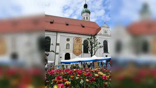 Bei hoffentlich strahlendem Sonnenschein kann man am 21. Mai in der Altstadt über den Markt bummeln. (Foto: AW)