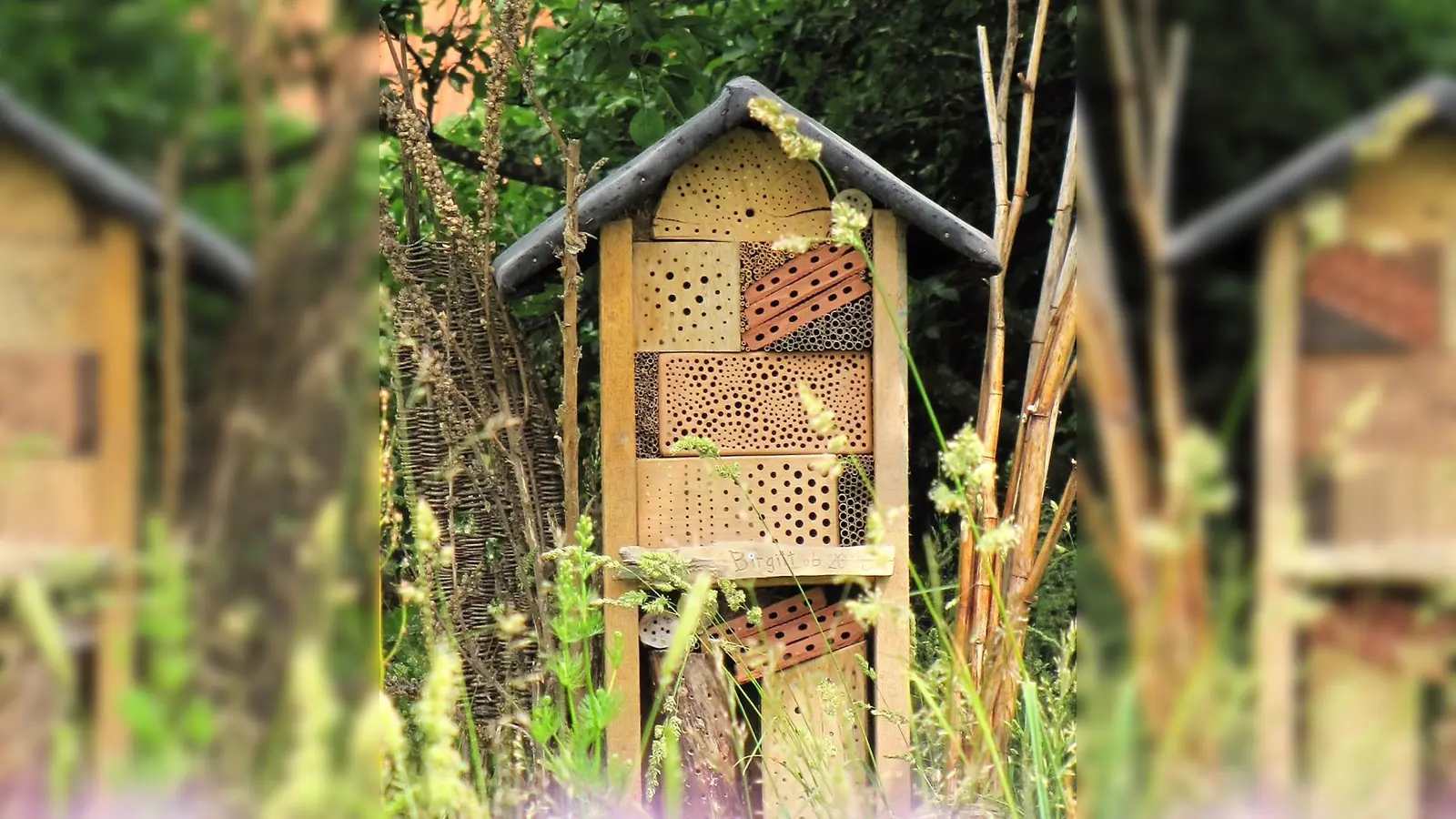 Ein neues Hotel für Wildbienen. (Foto: Birgit Helbig/LBV)