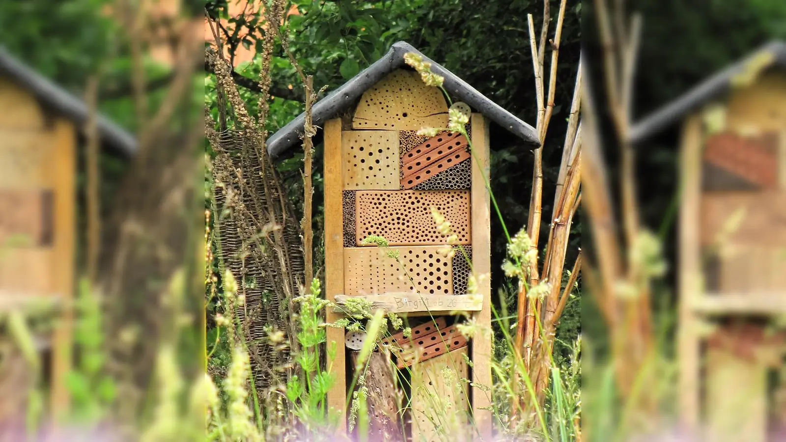 Ein neues Hotel für Wildbienen. (Foto: Birgit Helbig/LBV)