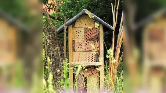 Ein neues Hotel für Wildbienen. (Foto: Birgit Helbig/LBV)