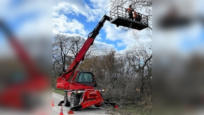 In großer Höhe wurde bei der Übung mit der Motorsäge gearbeitet. (Foto: KFV Dachau)