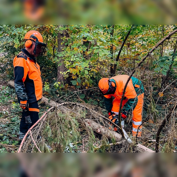 Die Feuerwehrler erlernten das richtige Schneiden von Holz unter Spannung.  (Foto: KBI Dachau)