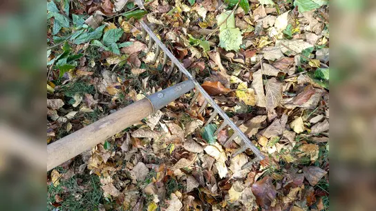 Herbstliches Laub im heimischen Garten.<br> (Foto: Barbara Mühlbauer-Talbi)