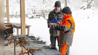 Bei der Pflanzenbeurteilung sollten die Auszubildenden Fehler an Spross und Wurzel erkennen.  (Foto: Gero Brehm/AELF FFB)