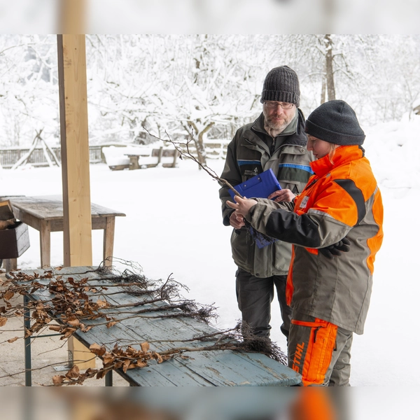 Bei der Pflanzenbeurteilung sollten die Auszubildenden Fehler an Spross und Wurzel erkennen.  (Foto: Gero Brehm/AELF FFB)
