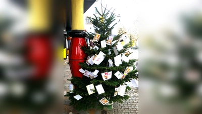 Schon zum zehnten Mal steht ein Weihnachtswunschbaum vor der Candisserie in der Münchner Straße. (Foto: Candisserie)