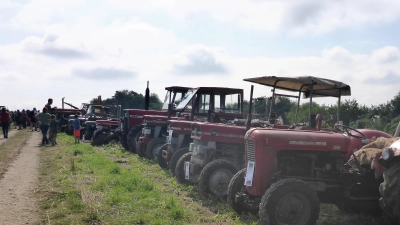 Viele Besucher kamen zum Oldtimer-Traktor Treffen auf den Kreithof. (Foto: Privat)