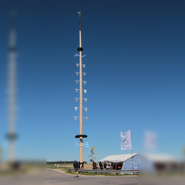 31 Meter hoch ist der Maibaum. (Foto: georgwohllebenfotografie)