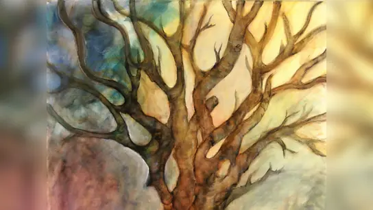 Der Unschuldsbaum (Foto: Regendantz)