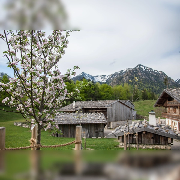 Der Frühling steht vor der Tür. Im Museumsdorf startet die Saison. (Foto: Markus Wasmeier)