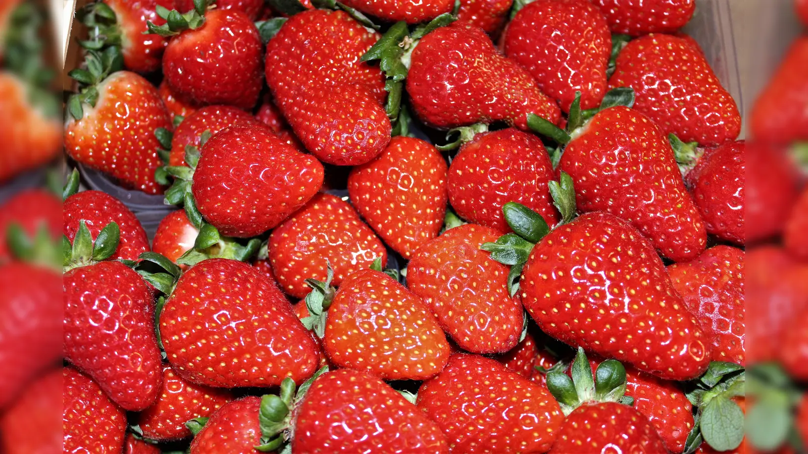 Erdbeeren sind Lieblinge zum Muttertag. (Foto: dek)