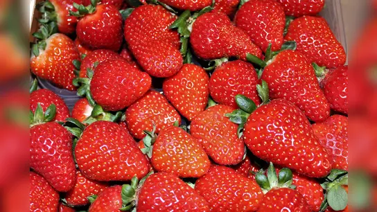 Erdbeeren sind Lieblinge zum Muttertag. (Foto: dek)