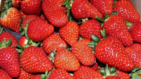Erdbeeren sind Lieblinge zum Muttertag. (Foto: dek)