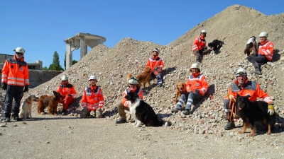 Die Trümmerhunde auf dem ehemaligen MD-Gelände beim Übungseinsatz. (Foto: ISARIA)