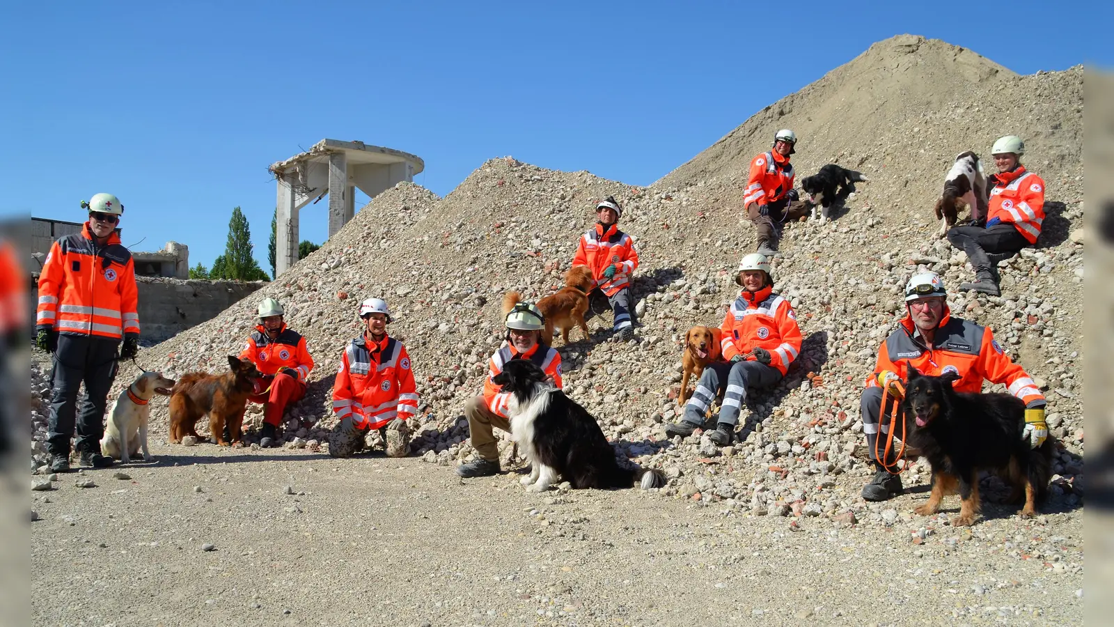 Die Trümmerhunde auf dem ehemaligen MD-Gelände beim Übungseinsatz. (Foto: ISARIA)
