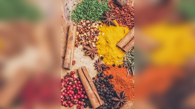 Spannende Infos über winterliche Gewürze. (Foto: Marion Botella, Unsplash)