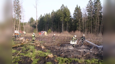 Waldbrandbekämpfung - eine gefährliche und schwierige Aufgabe für die Feuerwehren. (Foto: www.kfv-dachau.de)