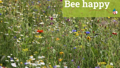 Bee happy - für Insektenparadiese im Dachauer Land. (Foto: LA Dachau / Melitta Fischer)