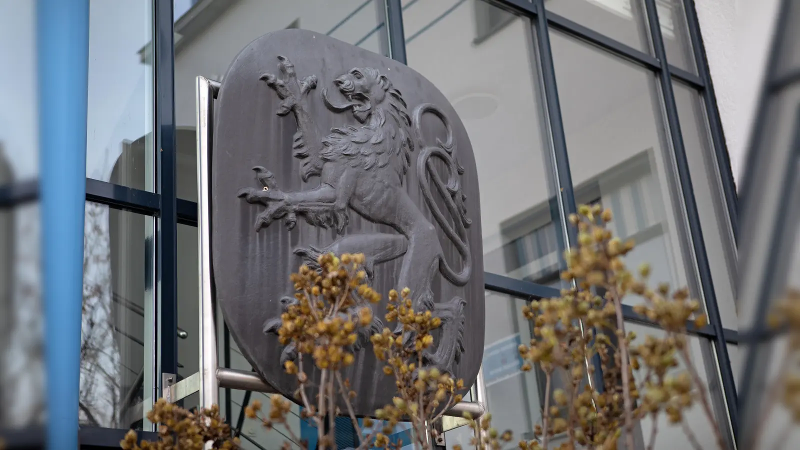 Im Insolvenzverfahren: TSV München von 1860 GmbH &amp; Co. KGaA. (Foto: Anne Wild)