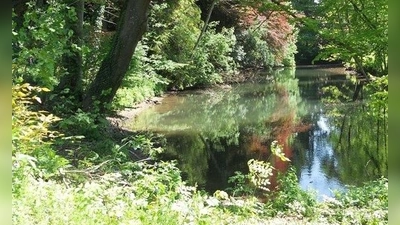 Der Stadtpark ist auch nach der Sanierung noch als historisch begründeter Landschaftsgarten einzuordnen. (Foto: ar/Stadt Erding)