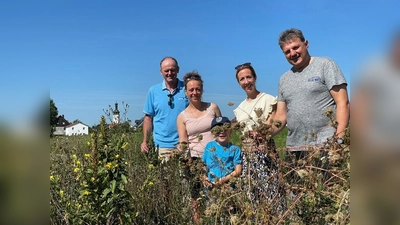 Am Blühstreifen (von li) Michael Lampl, Yvonne Rambold, Stephanie Burgmaier und Bürgermeister Helmut Zech. (Foto: CSU Pfaffenhofen)