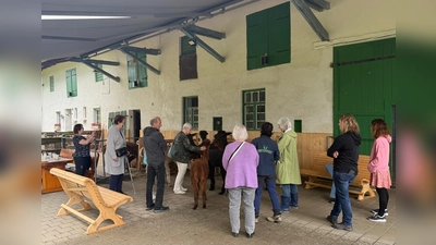 Teilnehmende am Gruppenangebot der Caritas-Beratungsstelle für Seelische Gesundheit im Alter  (Foto: Caritas, Madlen Hardke)