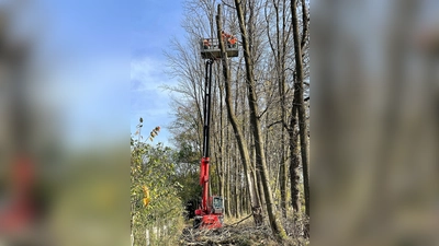 In fast 20 Meter Höhe wurde der Umgang mit der Motorsäge geübt. (Foto: KFV Dachau)