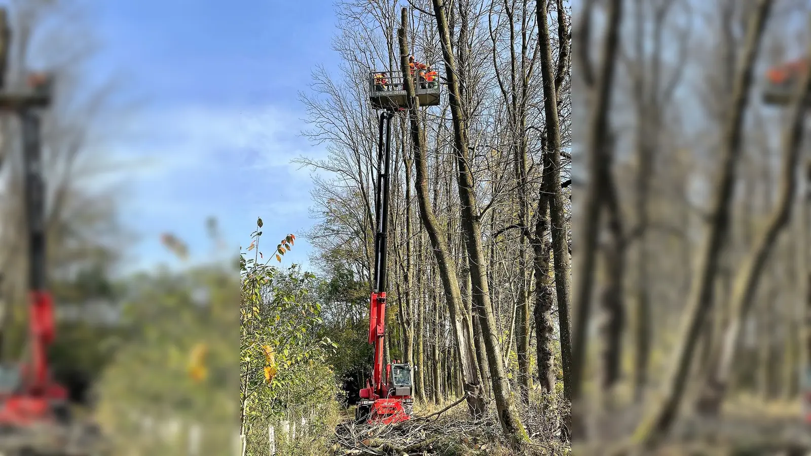 In fast 20 Meter Höhe wurde der Umgang mit der Motorsäge geübt. (Foto: KFV Dachau)