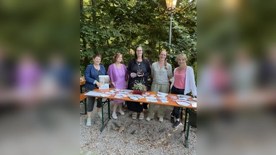 Anke Wolf (Pflegestützpunkt), Hiltrud Linnenbach (Betreuungsstelle), Michaela Heyne (Wohnberatung), Stefanie Otterbein (Seniorenpolitisches Gesamtkonzept Landratsamt), Madlen Hardtke (Fachstellefür pflegende Angehörige),  (Foto: Florian Scherf)