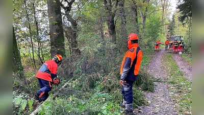 Im Wald bei Unterweilbach fand der Motorsägenkurs der Feuerwehren statt. (Foto: KFV)