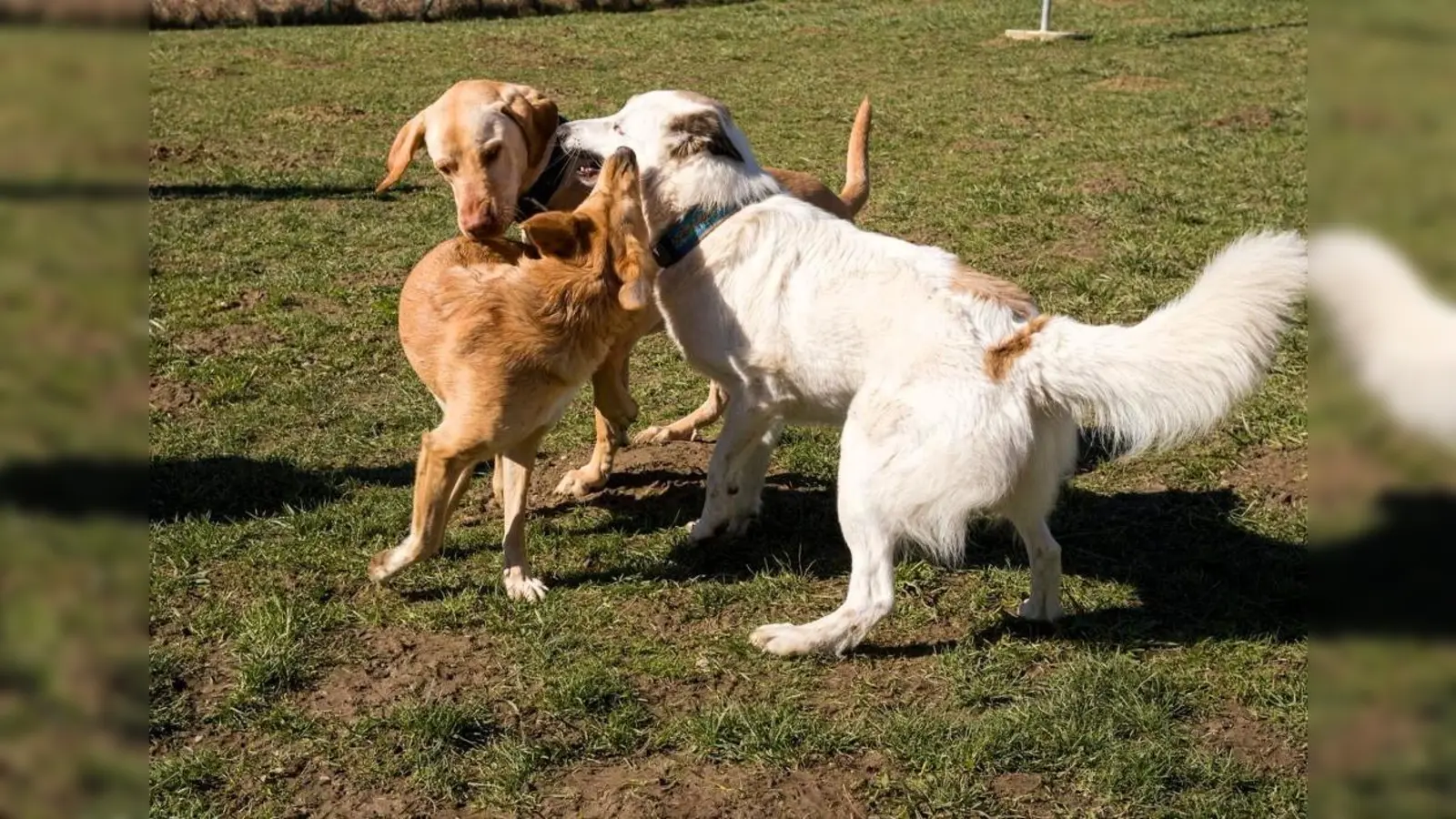 Die Freude ist groß, wenn man die Kumpels in der Spielstunde trifft. (Foto: privat)