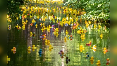 Rund 3.000 Enten wurden in Dachau zu Wasser gelassen. (Foto: Chaoscityriders e.V.)