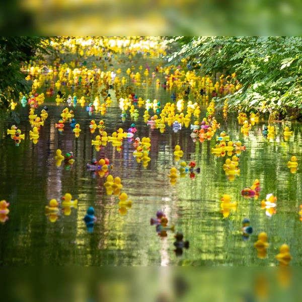 Rund 3.000 Enten wurden in Dachau zu Wasser gelassen. (Foto: Chaoscityriders e.V.)