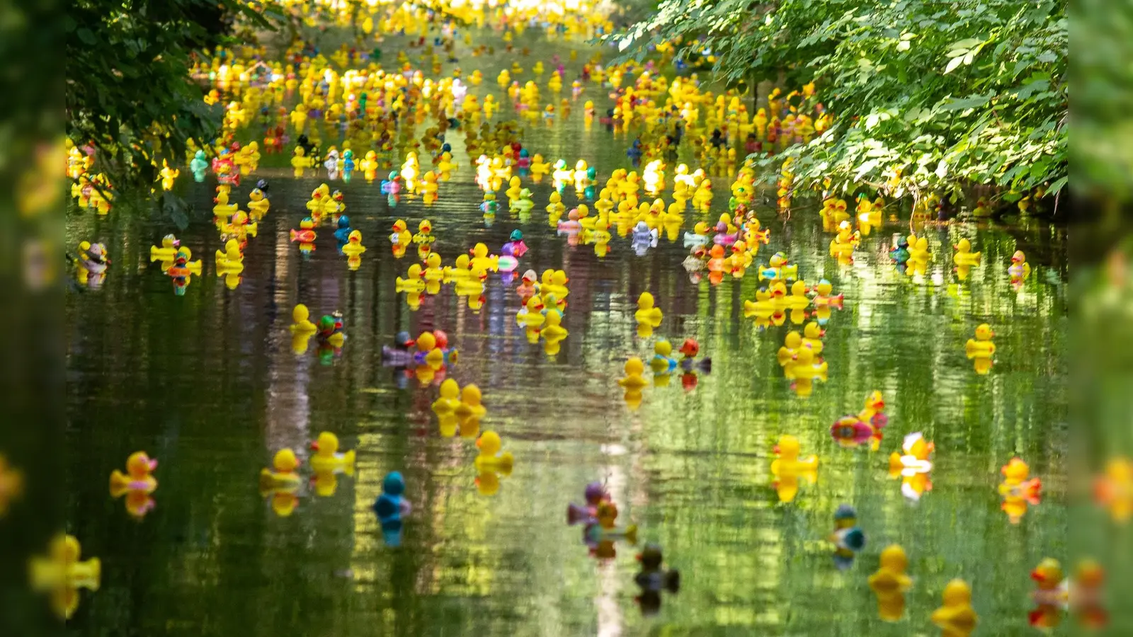 Rund 3.000 Enten wurden in Dachau zu Wasser gelassen. (Foto: Chaoscityriders e.V.)
