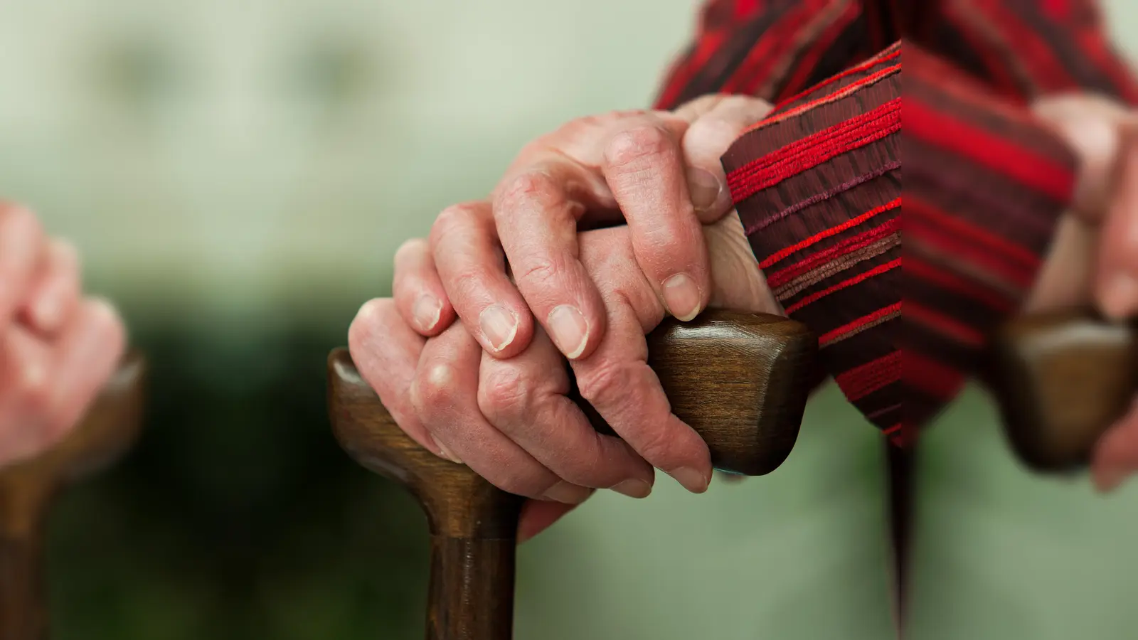 Ehrenamtliche Helfer gegen die Alterseinsamkeit werden von der Caritas gesucht. Sie begleiten Senioren zu Kultur- oder Sportveranstaltungen.  (Foto: Erwin Wodicka - Colourbox.com)