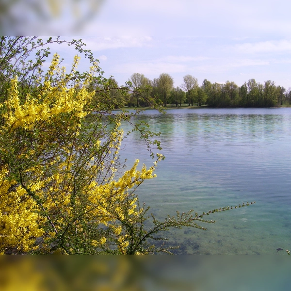 2 Euro am Tag kostet zukünftig das Parken am Karlsfelder See außerhalb der Badesaison. (Foto: chk)